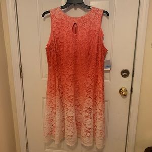 Pink ombré Dress